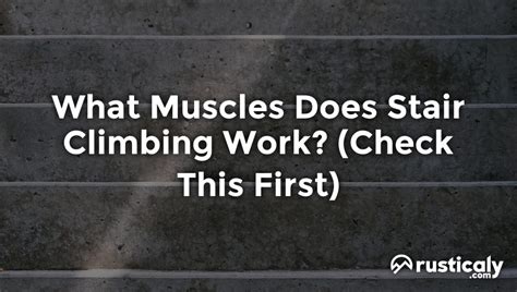 What Muscles Does Stair Climbing Work Detailed Guide