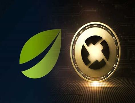 What defi projects offer the top staking rewards in 2021? Bitfinex Adds Staking Rewards Capability to Crypto ...