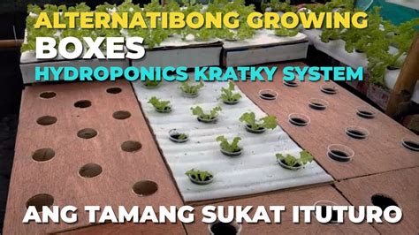 Alternatibong Growing Boxes For Kratky System In Diy Hydroponics