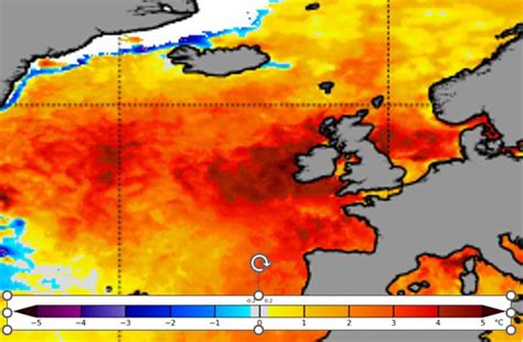 ‘beyond Extreme Ocean Heat Wave In North Atlantic Is Worst In 170 Years