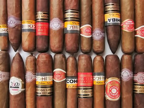 Top 10 Best Cuban Cigar Brands For Cigar Aficionados All Best Top 10