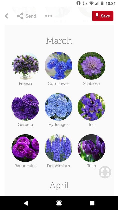 Most modern day calendars divide the year in 4 seasons: March flowers | March wedding flowers, Seasonal flowers ...