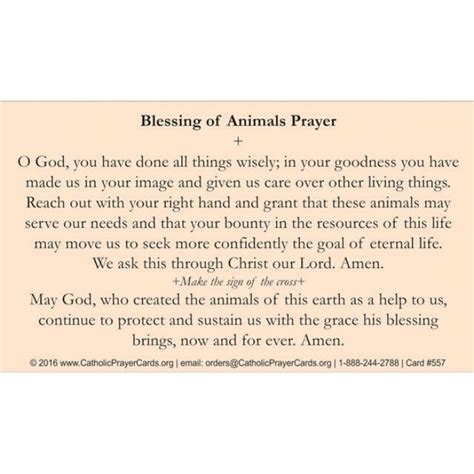 Prayer Cards Holy Cards Saint Francis Blessing Of Animals