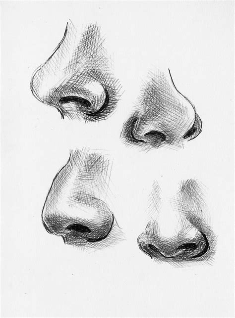 Found 7 free face drawing tutorials which can be drawn using pencil, market, photoshop, illustrator just follow step by step directions. Feature Variations: noses | Nose drawing, Pencil drawings ...