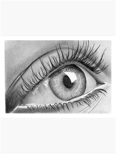 Share More Than 117 Images Of Eye Drawings Super Hot Vn