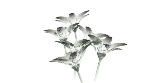 Glass Flowers 1 By Konstantinoart On Deviantart