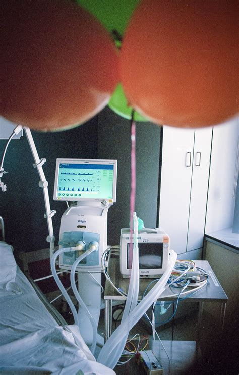 Interventional radiologic procedure, left carotid artery. Transvaginal Ultrasound CPT Code - Knowledge Center