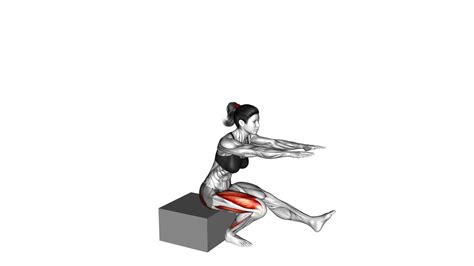 Female Single Leg Low Box Squat Video Guide And Tips
