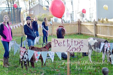 Petting Zoos Cowgirl Up Pony Parties