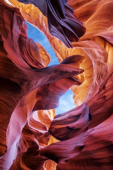 Daily Dozen — Photos — National Geographic Your Shot Nature Nature