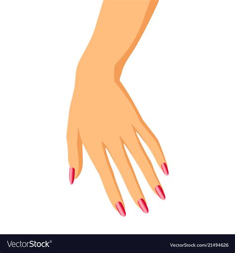 Woman Hand Royalty Free Vector Image Vectorstock