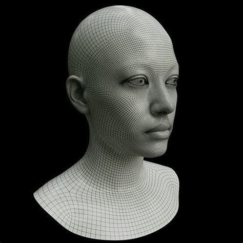 female head free 3d model cgtrader