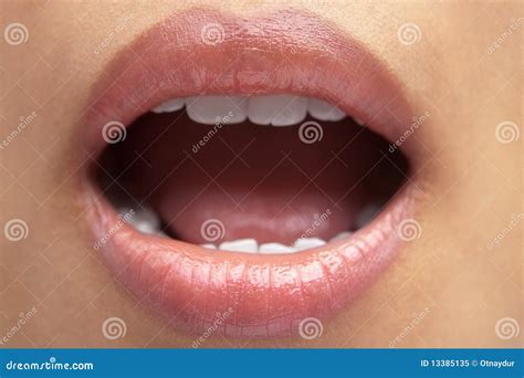 Woman S Mouth Open Royalty Free Stock Photo Image