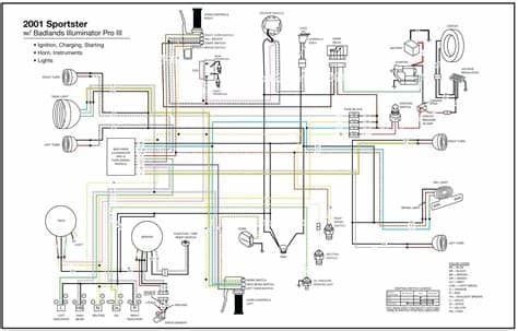 Wiring Diagram for Harley Davidson softail | Free Wiring ...