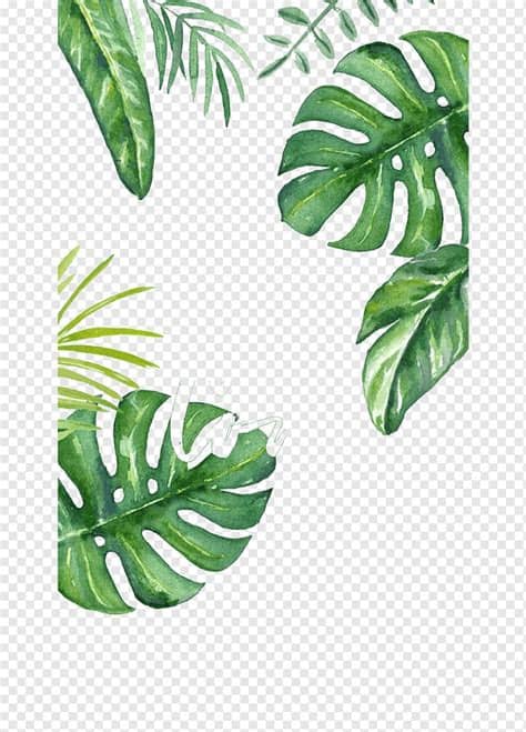 Daun pisang, Tangan dicat bambu penyu, ilustrasi daun ...