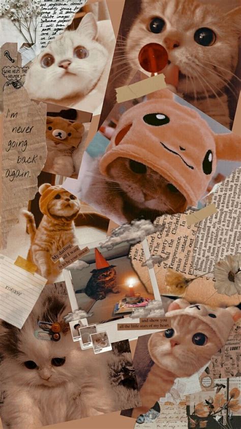 Cats Collage Wallpaper