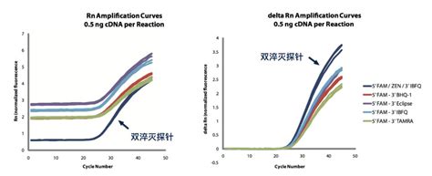 精选 评测 Idt发布zen 或 Tao 双淬灭探针 Csdn博客