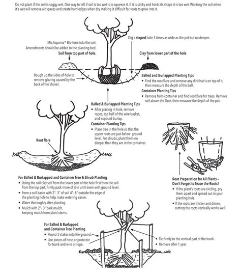 Planting Instructions The Growing Place