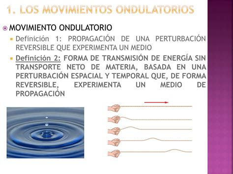 Ejemplos De Movimientos Ondulatorios