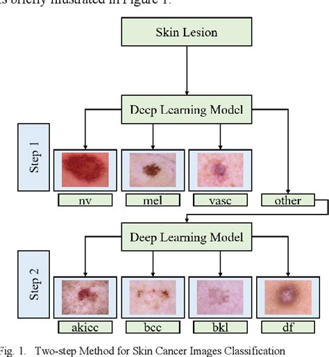 Figure 1 From Transfer Learning Based Method For Two Step Skin Cancer