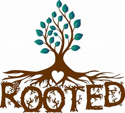 Rooted Roots Tree Clipart Clip Transparent Cliparts