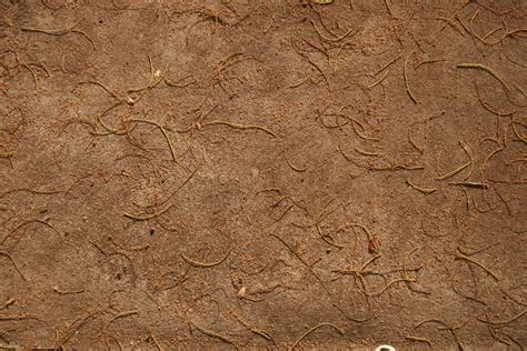 Free Images Sand Rock Wood Texture Leaf Floor Trunk Pattern
