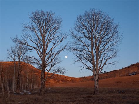 Moonrise, Colorado