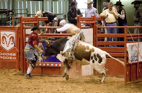 Free Images Man Usa Competition West Arena Danger Cowboy Chute