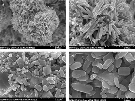 Typical Low And High Magnification Fe Sem Images Of Differently Shaped