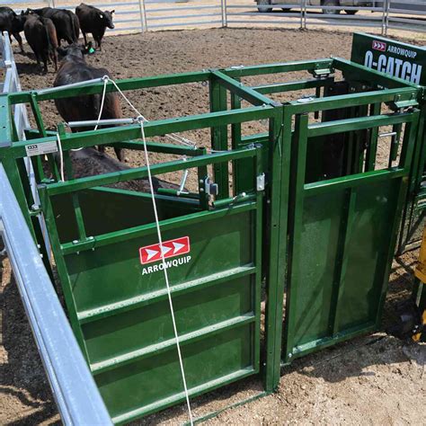 Cattle Sorting Post Chute Cattle Drafting Arrowquip
