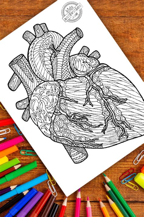 Detailed Zentangle Human Heart Coloring Page Kids Activities Blog