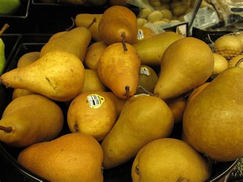 European vs Asian Pears | What Grows There :: Hugh Conlon ...