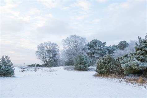 Hintergrundbilder Schnee Winter Kalt Frost Raureif Einfrieren