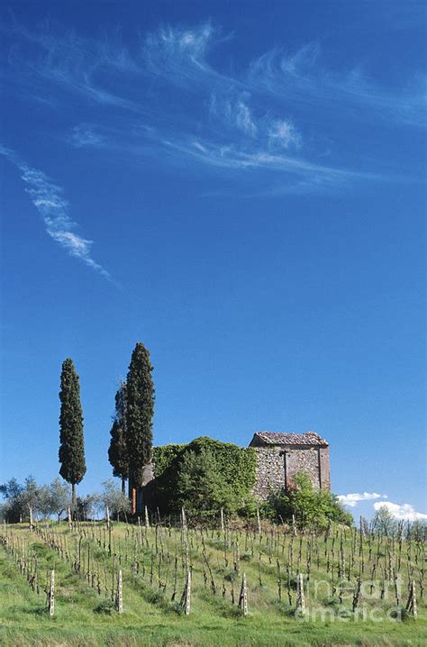 Toscana Photograph By Chris Selby Fine Art America