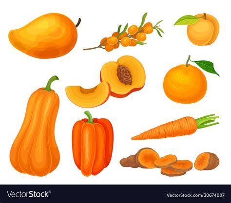 Orange Vegetables And Fruits With Ripe Apricot Vector Image