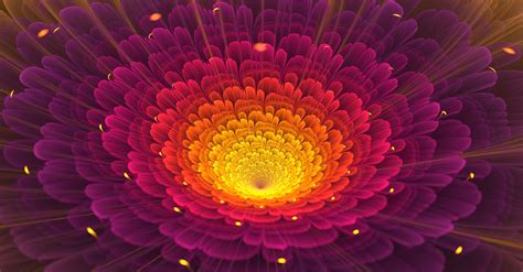 Light Abstract Nature Flowers Digital Art Macro Wallpapers