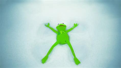 Kermit The Frog Hd Wallpapers On Wallpaperdog
