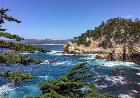 Point Lobos State Reserve Carmel Why You Should Visit Tips