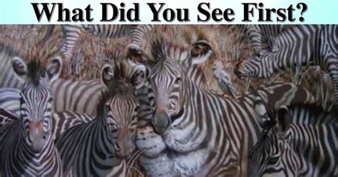 What Did You See First Optical Illusions Pictures Optical Illusions