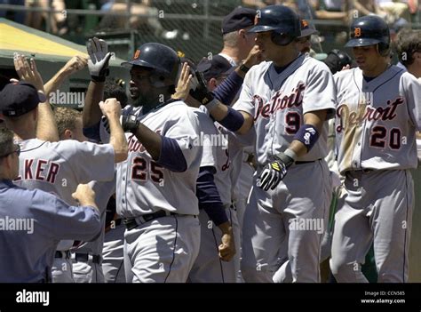 Detroit Tigers Dmitri Young 25 Gets Congrats After Hitting A Three