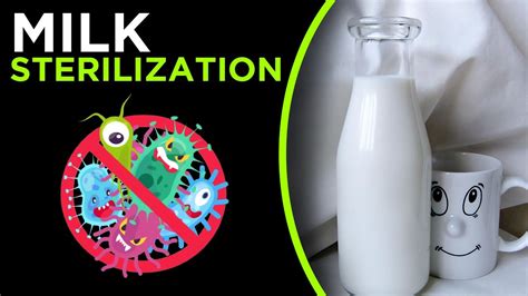 Milk Sterilization Youtube