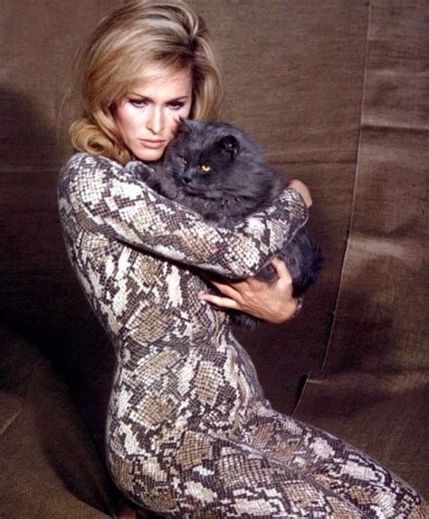 Ursula Andress Ursula Andress 1960s Fashion Celebrities With Cats