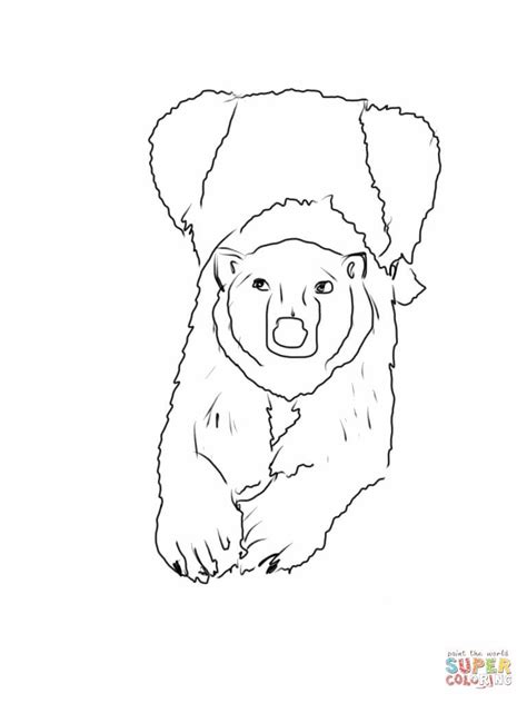 There are also a few printable worksheets for both english and math here, including a word search and place value worksheet. Mother Polar Bear Lying Down And Facing Us coloring page ...