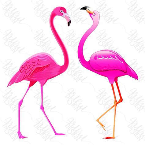Flamingo Png Flamingo Clipart Bird Clipart Flamingo Clip Etsy