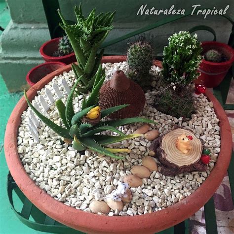 Los cactus y otras crasas o suculentas son un grupo de plantas fascinantes. Mini-bosque en maceta con plantas suculentas y objetos ...
