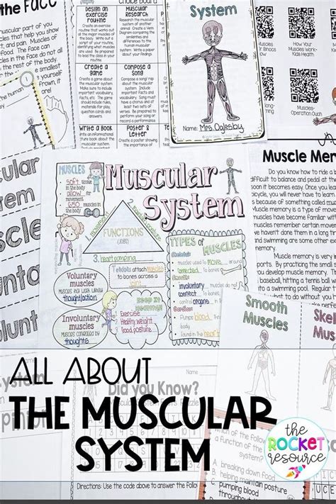 Muscular System Fact Book Types Of Muscles Skill Pages Fireworks2020