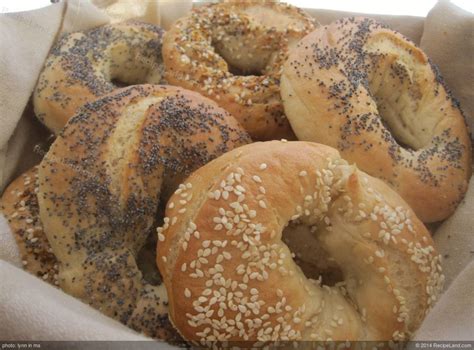 Montreal Style Bagels Recipe Recipeland