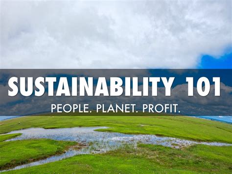 Sustainability 101 By Danielle James