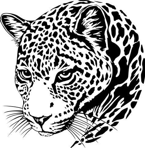 Jaguar Animal Svg 762 File For Diy T Shirt Mug Decoration And More