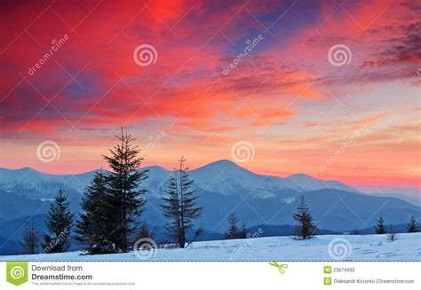 Winter Landscape At Sunset Stock Photos Image 23674933